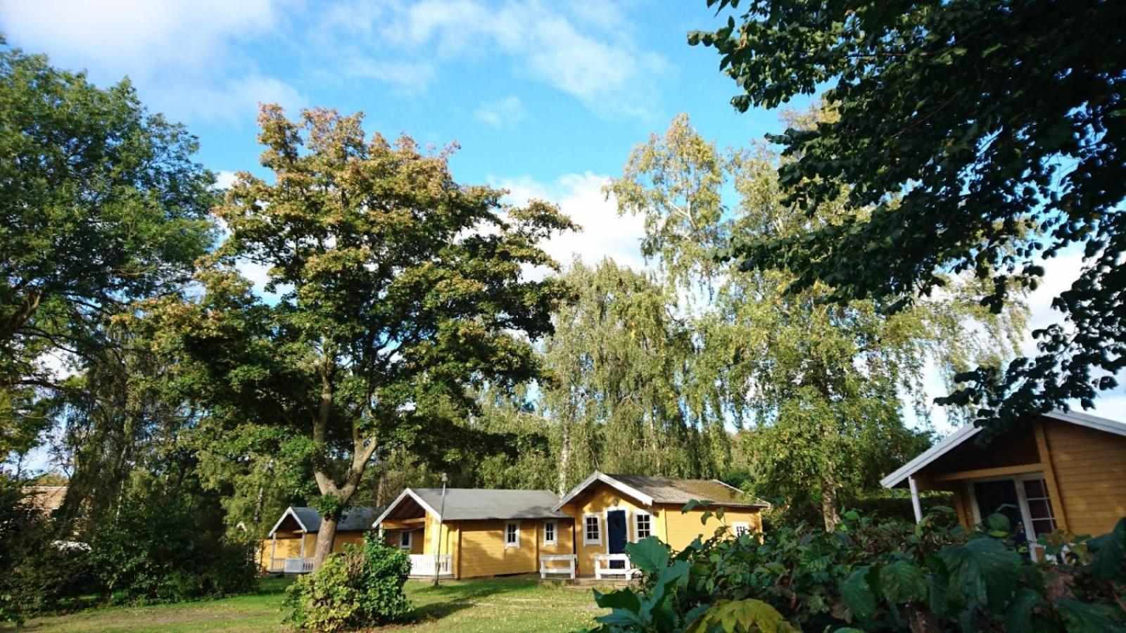 & Hostel